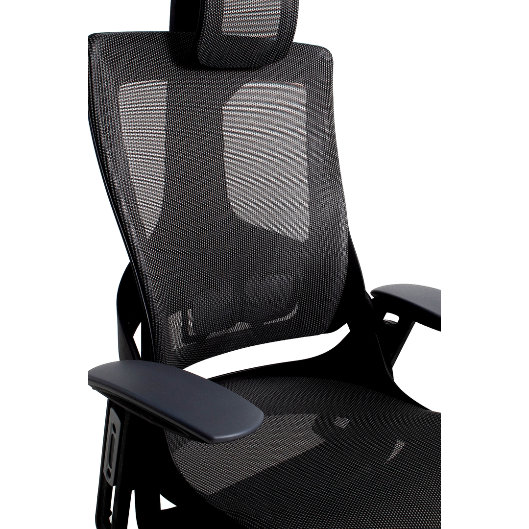 Silla directiva Madagascar